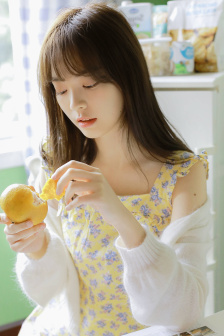 淑女